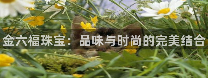 新航娱乐登录大厅