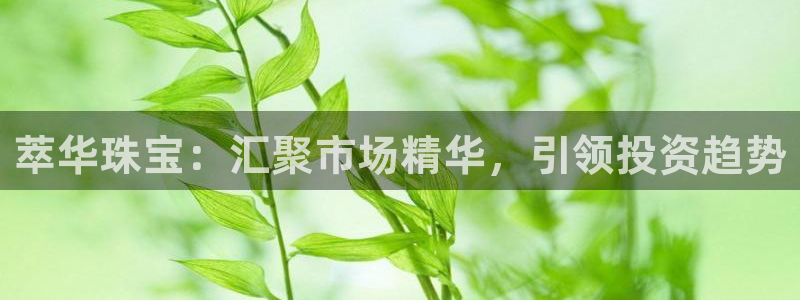 新航娱乐公司地址电话