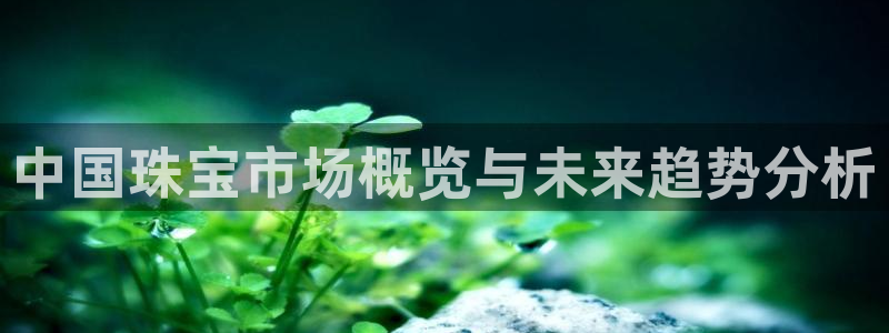新航娱乐公司怎么样：中国珠宝市场概览与未来趋势分析