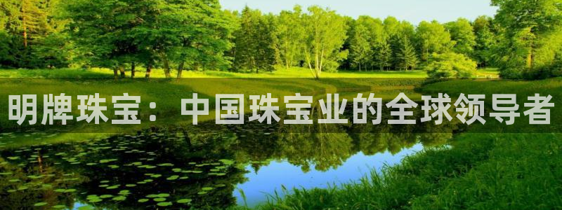 新航娱乐登录大厅：明牌珠宝：中国珠宝业的全球领导者