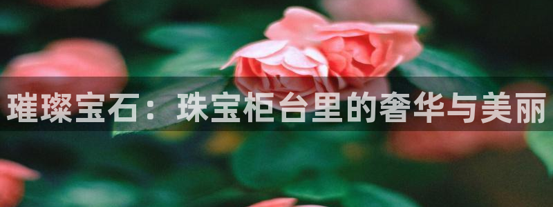 新航海娱乐会所电话地址：璀璨宝石：珠宝柜台里的奢华与美丽