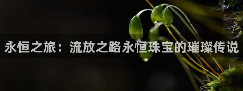 新航海娱乐会所怎么样：永恒之旅：流放之路永恒珠宝的璀璨传说