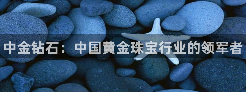 餐饮娱乐新航向：中金钻石：中国黄金珠宝行业的领军者