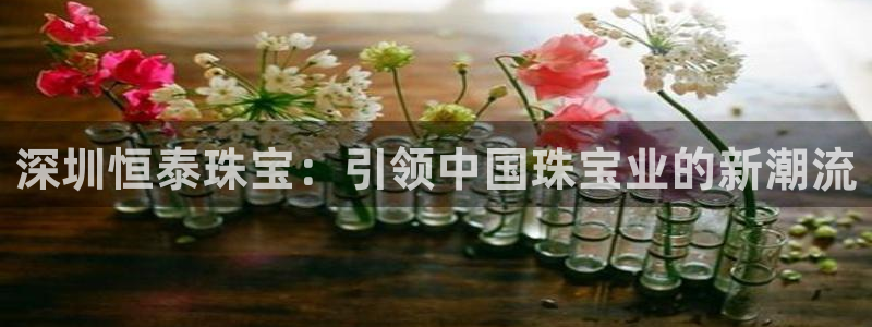 新航娱乐传媒招聘信息