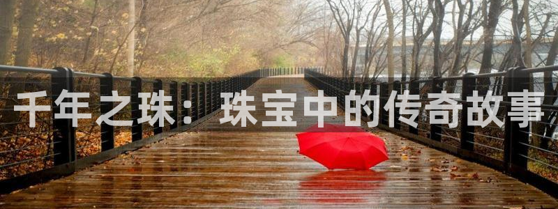 新航娱乐公司怎么样啊