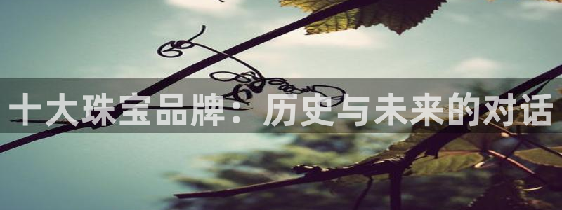 新航娱乐有限公司地址：十大珠宝品牌：历史与未来的对话