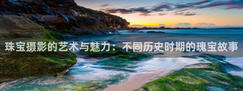 新航娱乐观