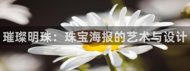 新航娱乐公司问题：璀璨明珠：珠宝海报的艺术与设计