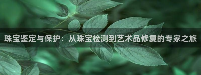 云顶新航国际娱乐城：珠宝鉴定与保护：从珠宝检测到艺术品修复的