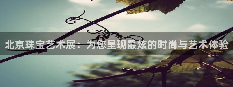 新航娱乐有限公司