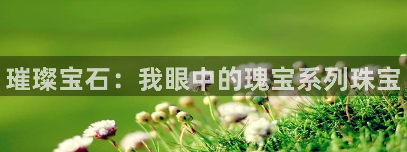 新航娱乐管理有限公司