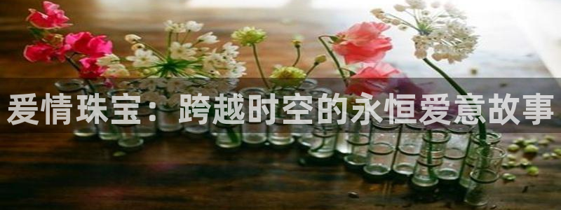 金城娱乐新航母