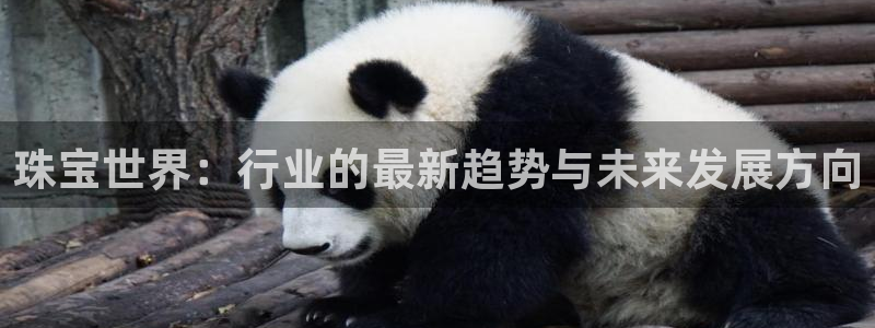 新航海娱乐会所：珠宝世界：行业的最新趋势与未来发展方向
