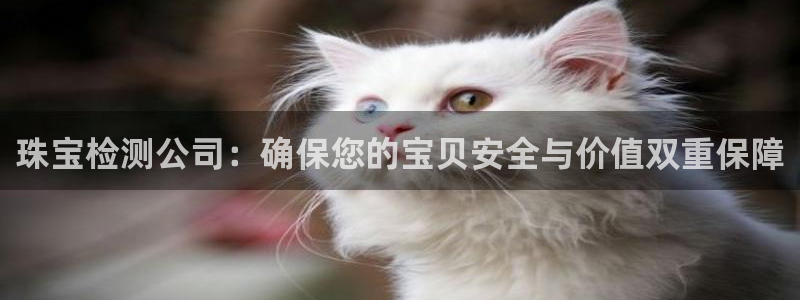 金城娱乐新航母：珠宝检测公司：确保您的宝贝安全与价值双重保障