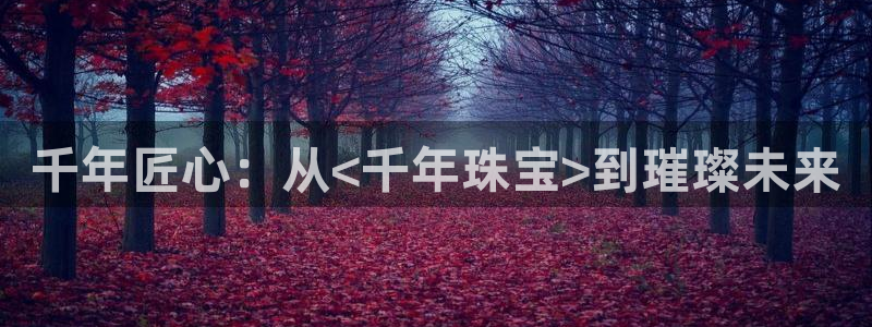 新航娱乐系统设置