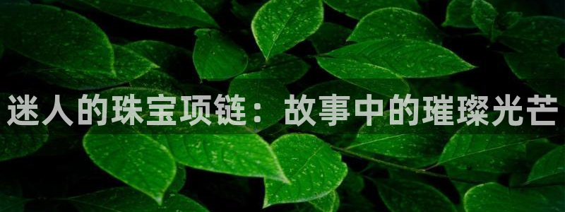 新航海娱乐会所电话：迷人的珠宝项链：故事中的璀璨光芒
