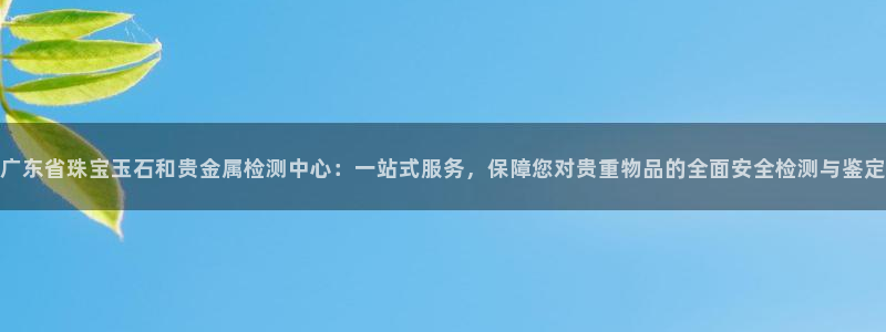 新航娱乐登陆：广东省珠宝玉石和贵金属检测中心：一站式服务，保