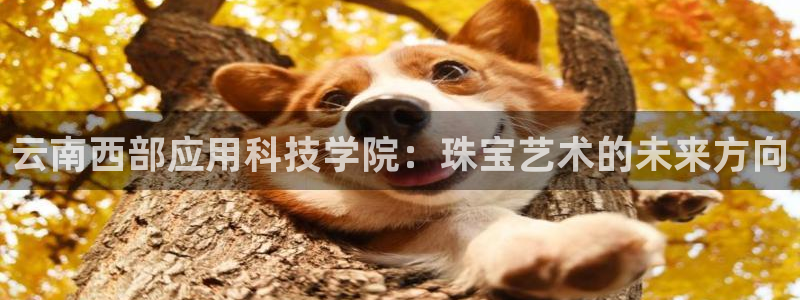 新航娱乐平台登录入口