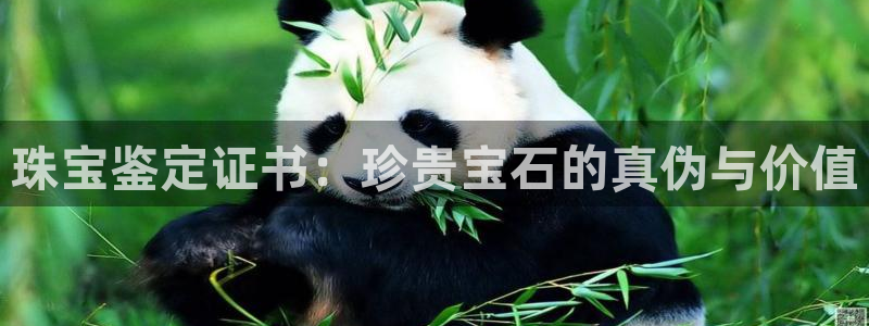 新航娱乐街7O935