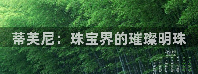 新航娱乐主管是谁