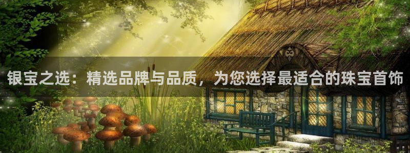 新航娱乐官网注册入口:银宝之选:精选品牌与品质,为您选择最适