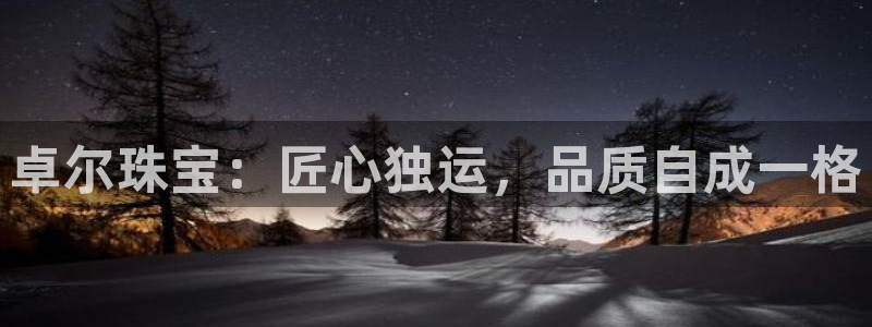 新航娱乐官网入口