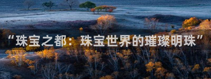 新航文化娱乐传媒:“珠宝之都:珠宝世界的璀璨明珠”