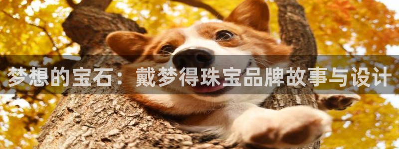 新航娱乐下载安装