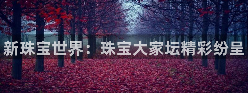 云顶新航国际娱乐城