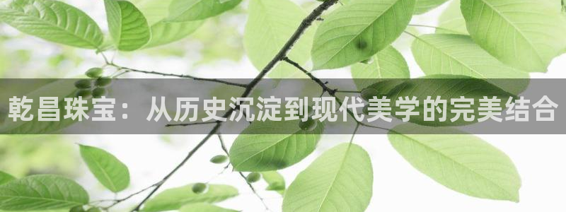 武汉中创新航娱乐室:乾昌珠宝:从历史沉淀到现代美学的完美结合
