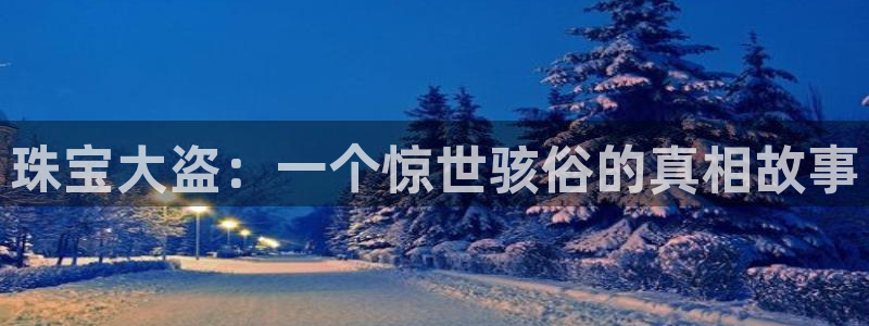 新航娱乐公司地址:珠宝大盗:一个惊世骇俗的真相故事