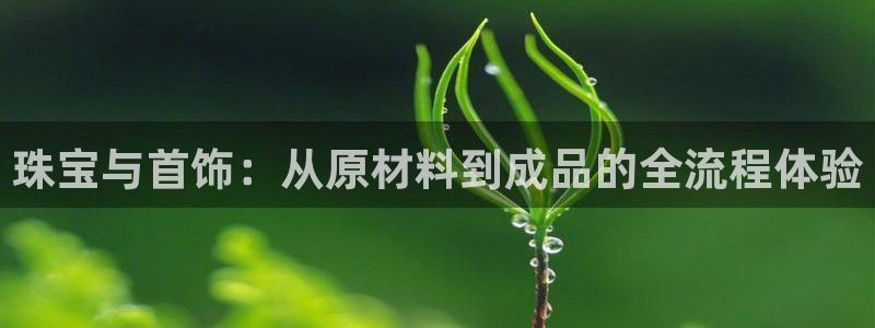 新航娱乐公司地址电话:珠宝与首饰:从原材料到成品的全流程体验