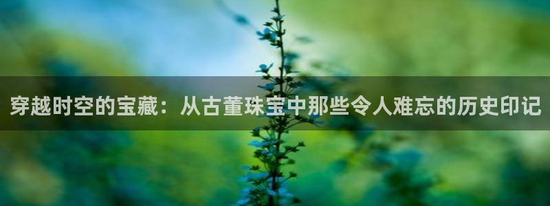 新航娱乐有限公司招聘:穿越时空的宝藏:从古董珠宝中那些令人难