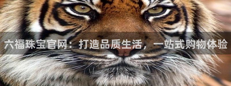 德阳娱乐城最新航拍:六福珠宝官网:打造品质生活,一站式购物体