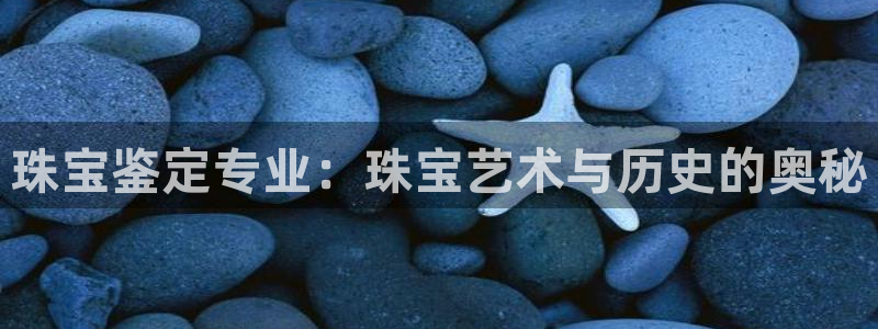新航娱乐扣款详情：珠宝鉴定专业：珠宝艺术与历史的奥秘